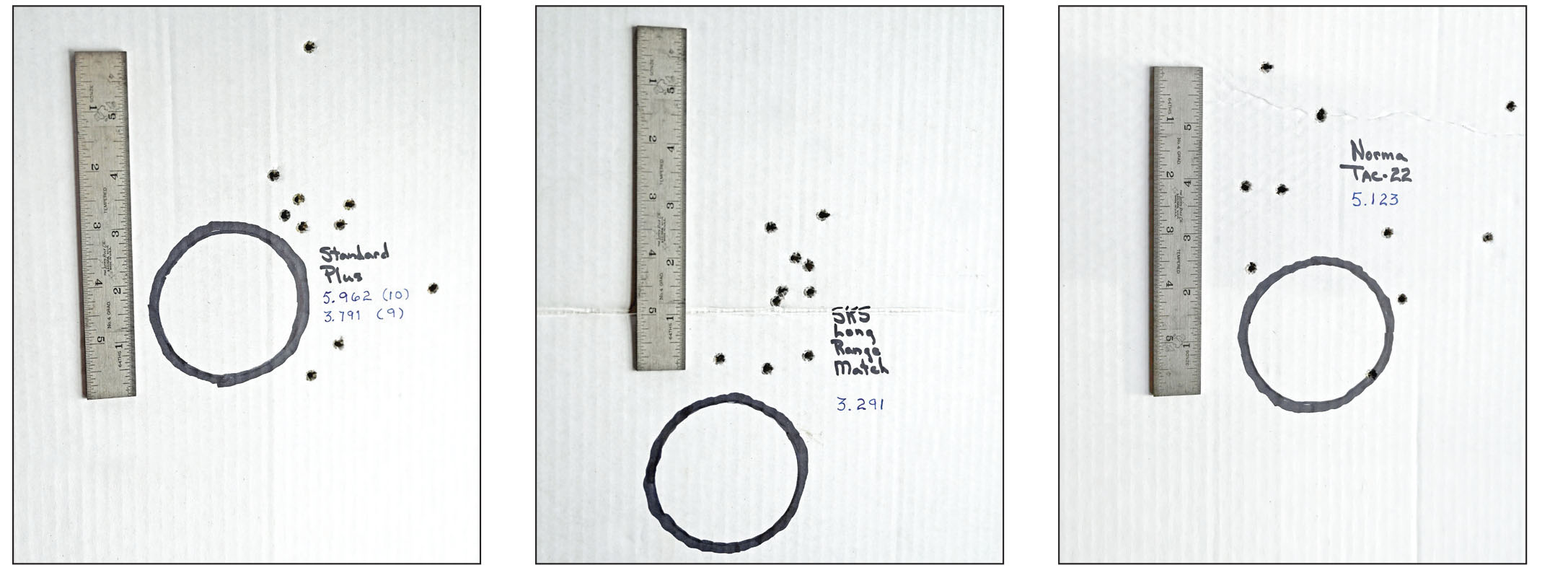 A distance of 200 yards is the real test for .22 rimfire ammunition.